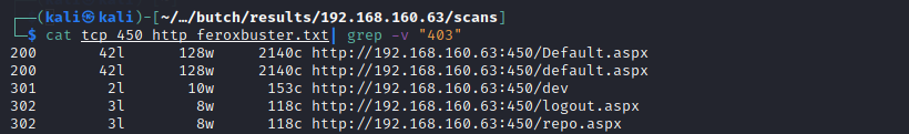 autorecon feroxbuster output