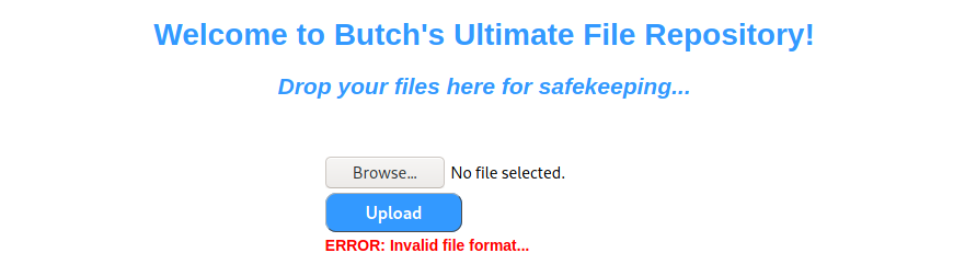 Invalid file format error